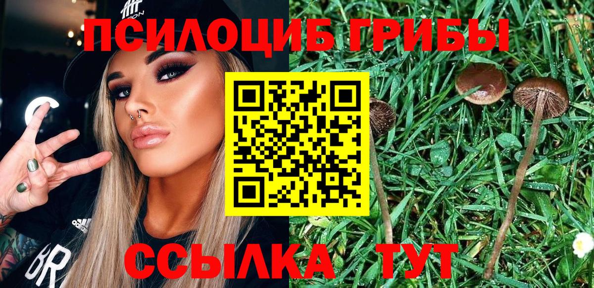 Галлюциногенные грибы GOLDEN TEACHER  Артёмовский 