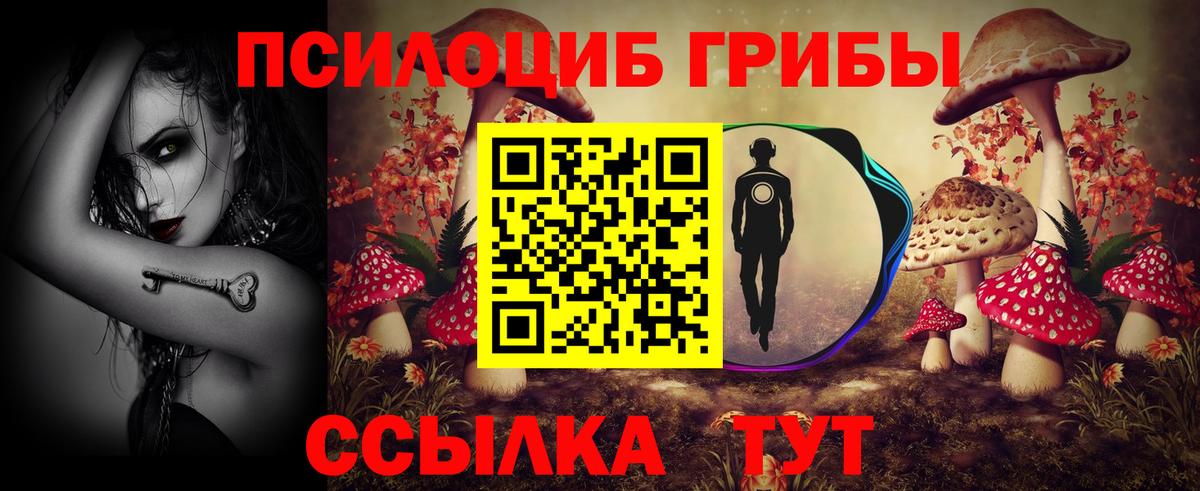 Псилоцибиновые грибы мухоморы Артёмовский